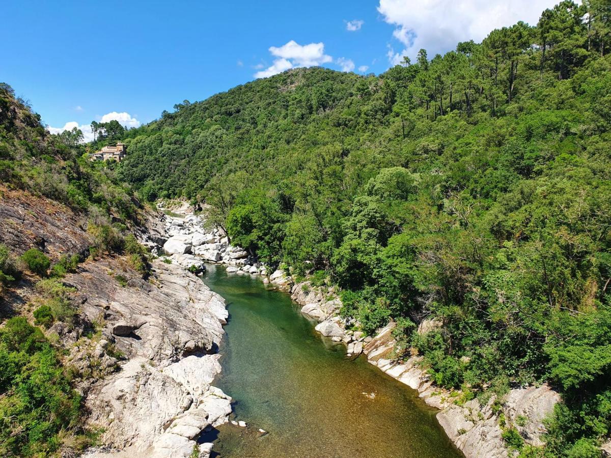 Вілла La Bastide Bleue Андюз Екстер'єр фото